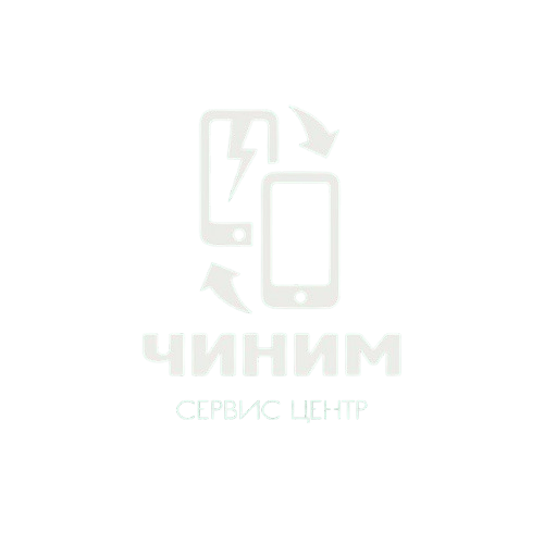 Чиним logo